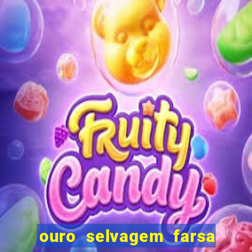 ouro selvagem farsa ouro selvagem o que aconteceu